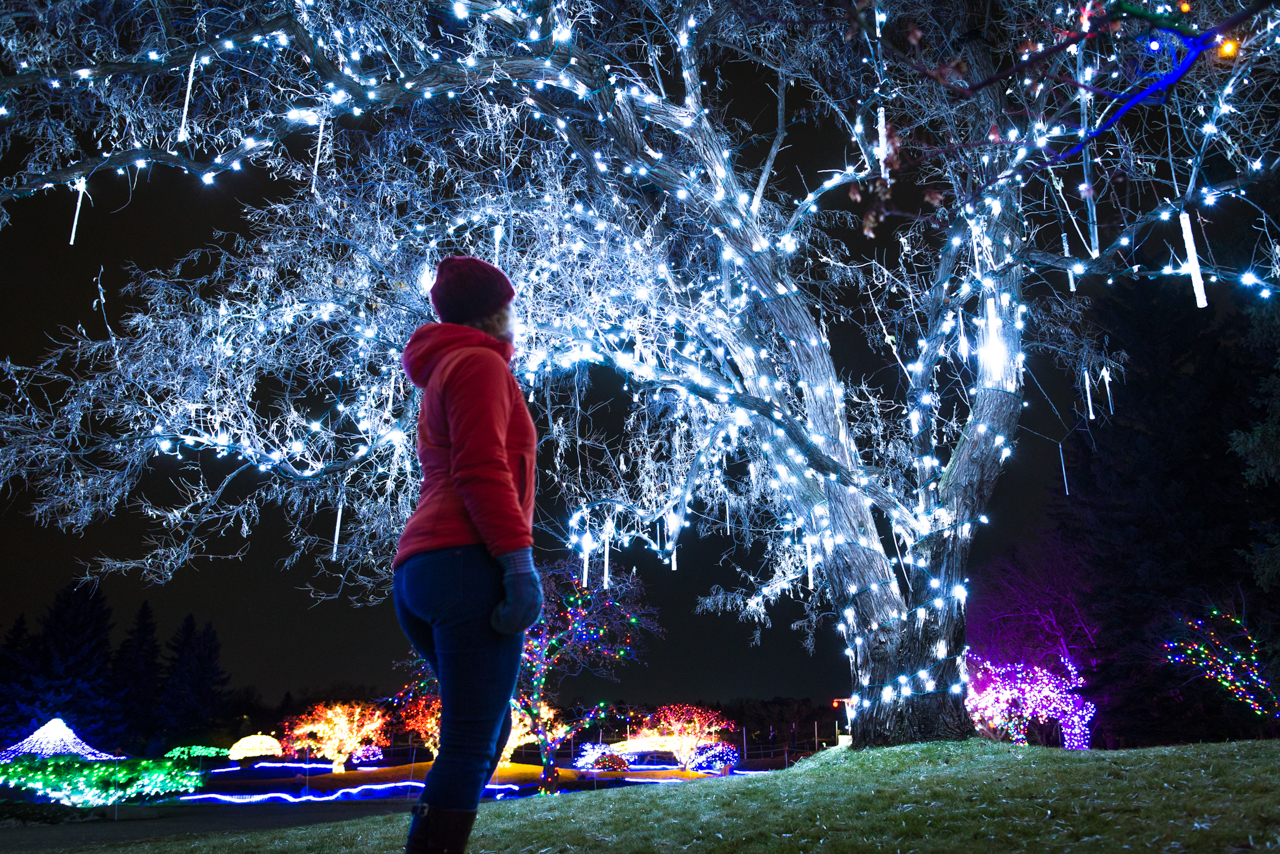 Nikka Yuko Japanese Garden
