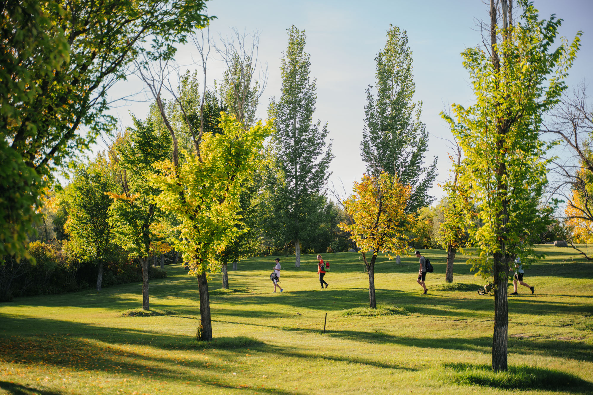 Aperture Park Disc Golf Course