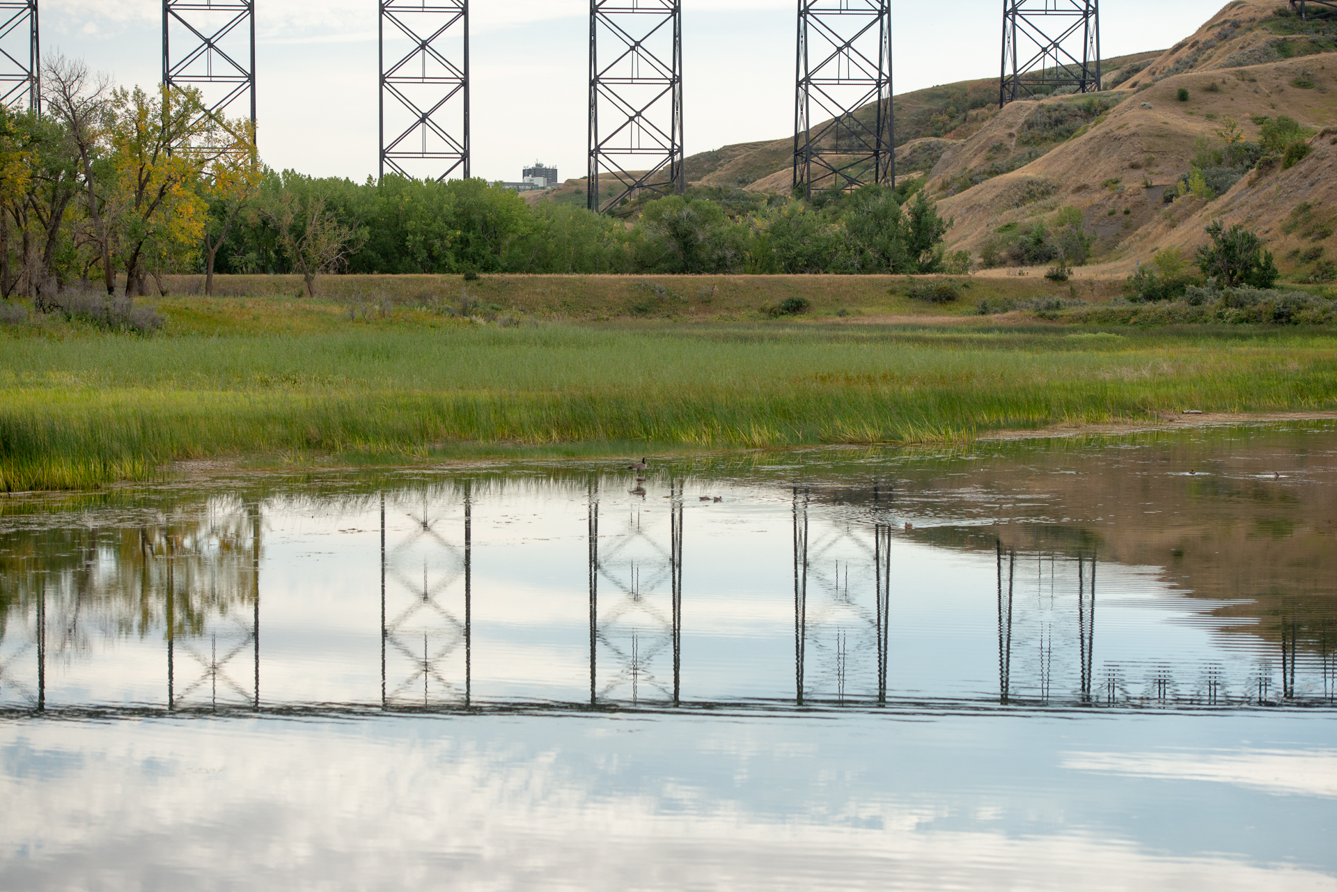Elisabeth Hall Wetlands