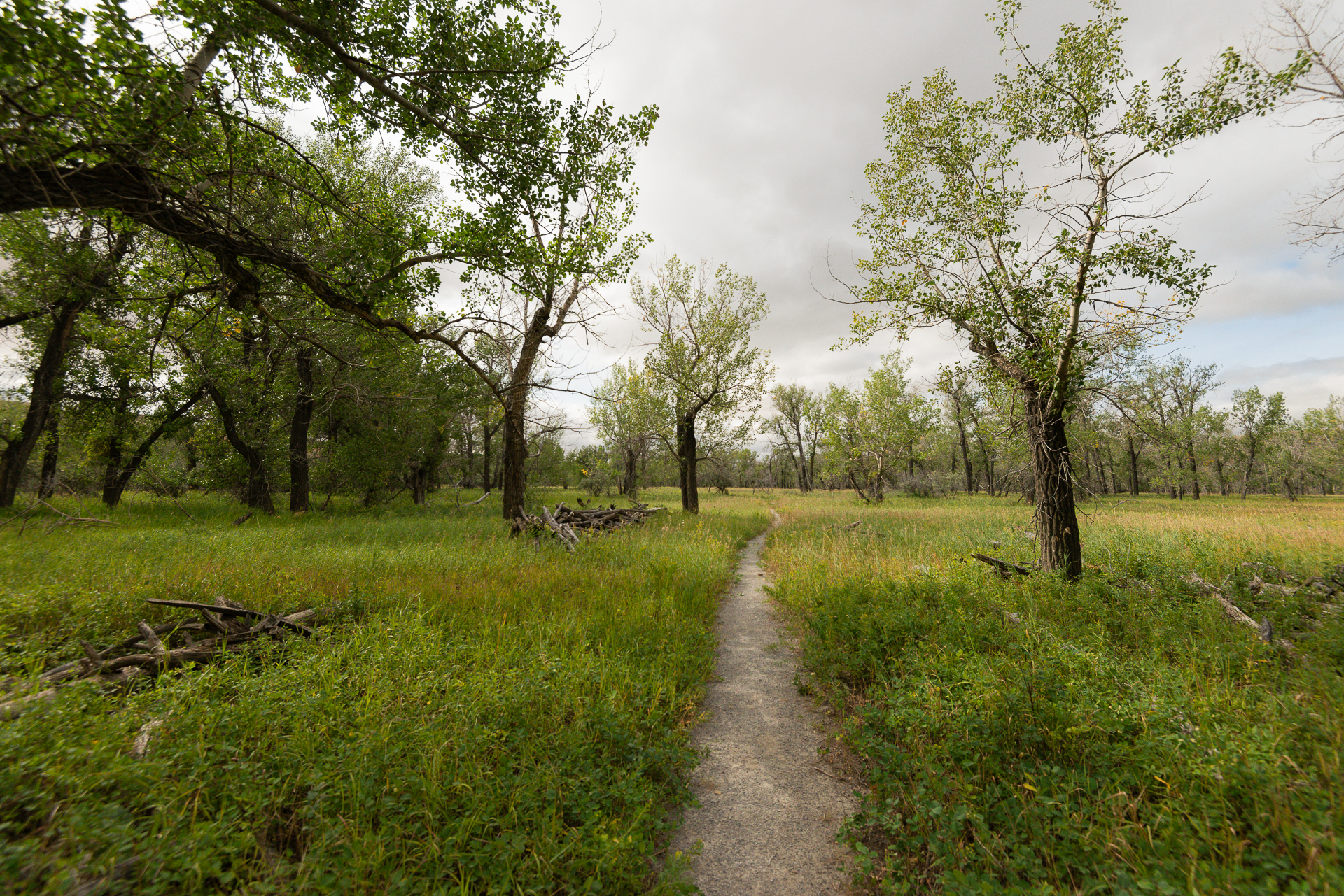 Cottonwood Park