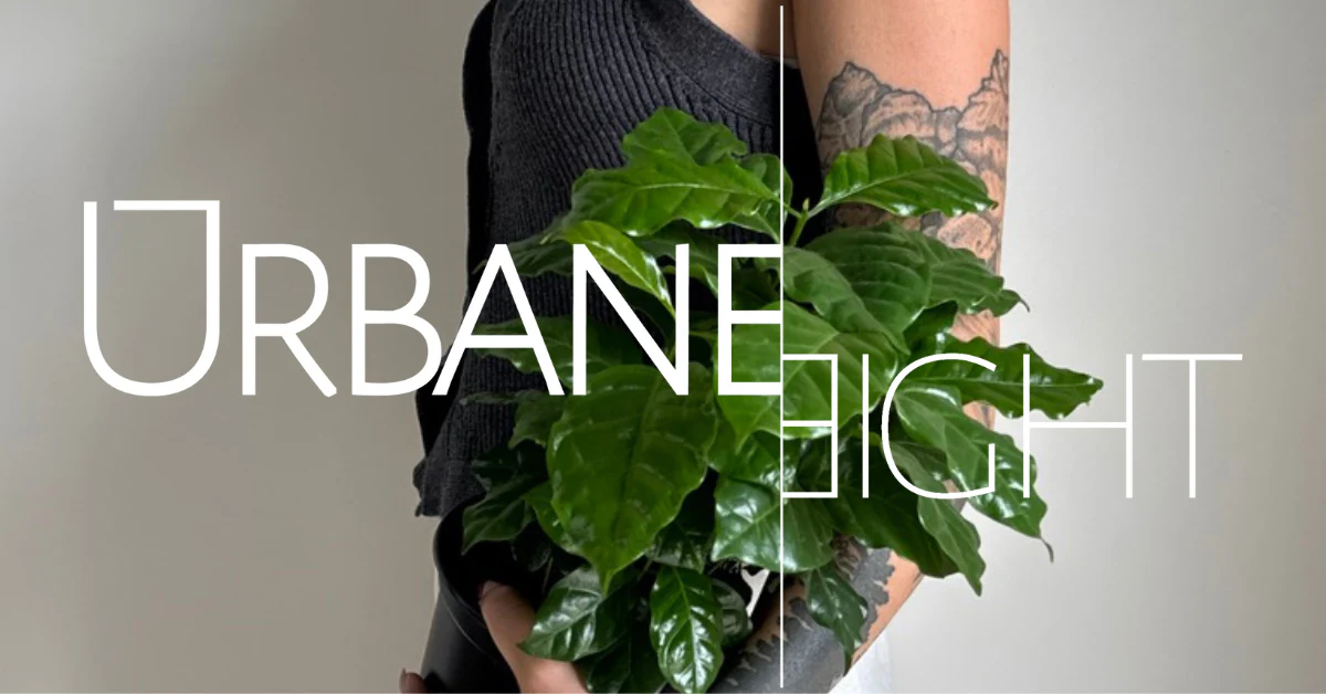 Urbane Eight