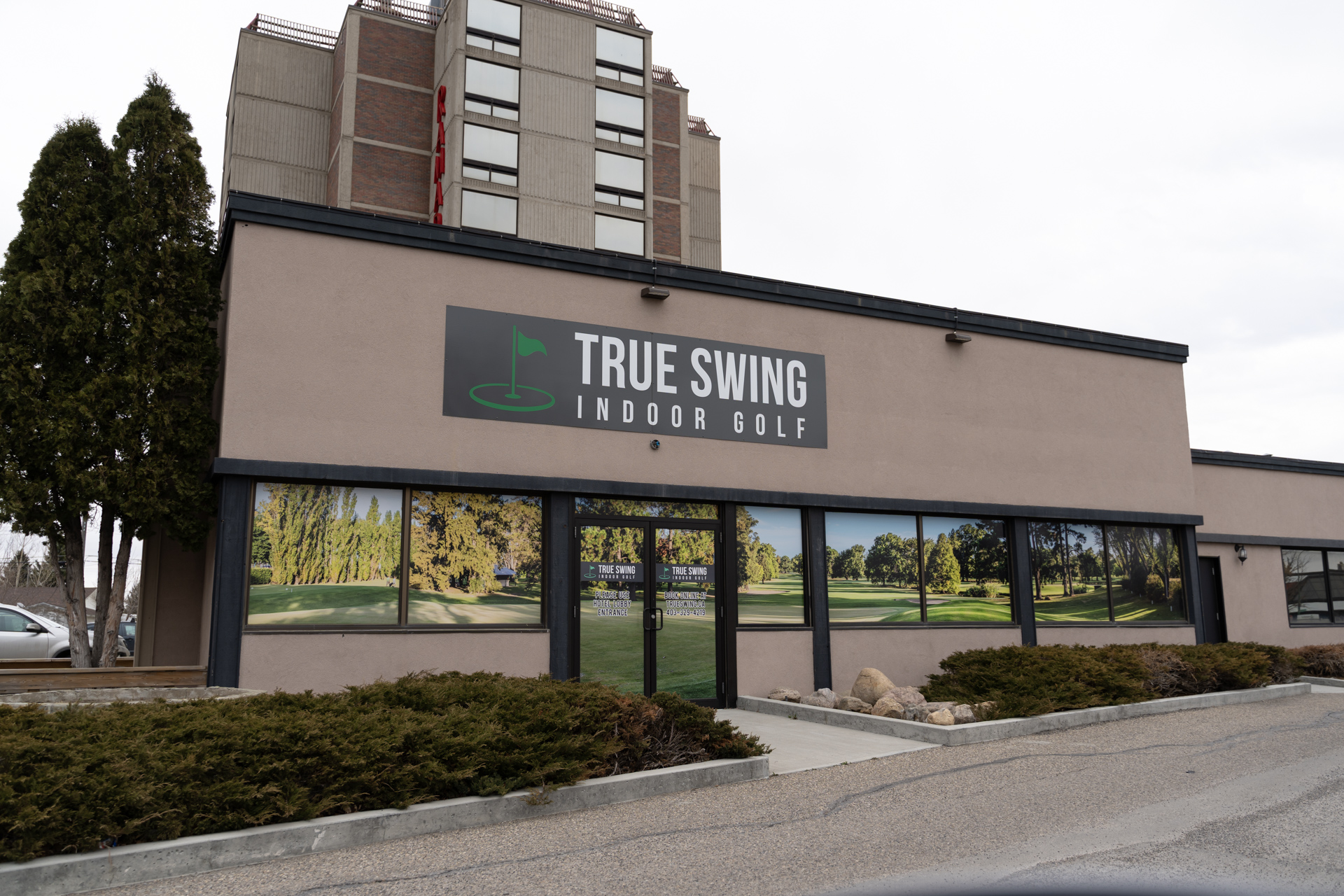 True Swing Indoor Golf